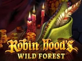 Robin Hoods Wild Forest icon